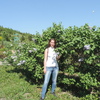Анна, 29, г.Новосибирск Анна, 29, г.Новосибирск