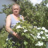 николай, 57, г.Черлак николай, 57, г.Черлак
